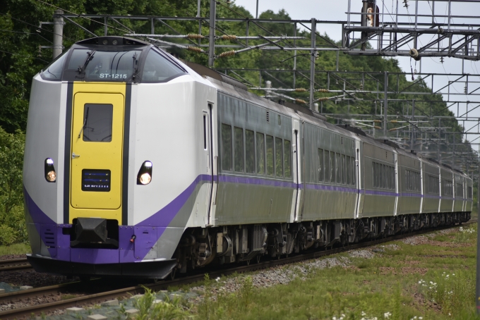 鉄道フォト・写真：JR北海道キハ261系気動車  北斗 キハ261-1215 東１号踏切 鉄道フォト・写真 by mr.golfさん - 撮影日 2024/06/30 13:48