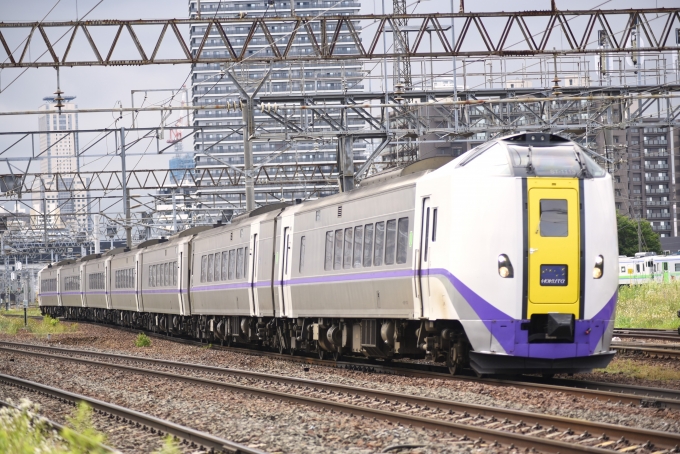 鉄道フォト・写真：JR北海道  北斗 苗穂駅周辺 鉄道フォト・写真 by mr.golfさん - 撮影日 2024/07/09 14:49