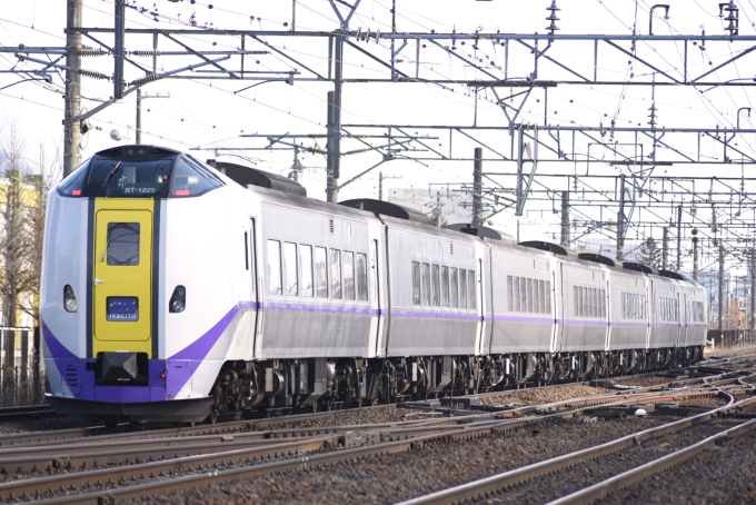 JR北海道 キハ261-1225 (キハ261系) 車両ガイド | レイルラボ(RailLab)