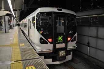 JR東日本E257系電車 かいじ(特急) 鉄道フォト・写真 by koreanrailfanさん 東京駅 (JR)：2014年01月26日21時ごろ