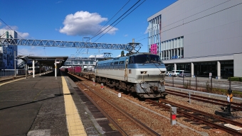 JR貨物 国鉄EF66形電気機関車 EF66-107 鉄道フォト・写真 by SATOさん 清水駅 (静岡県)：2019年03月11日14時ごろ