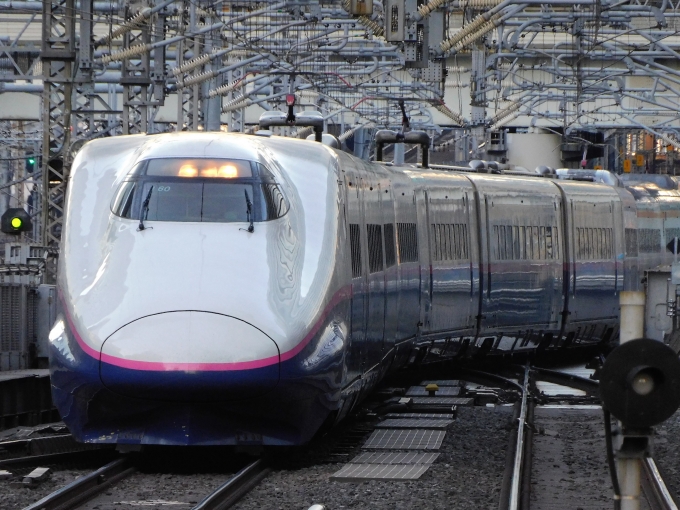 JR東日本 E2系新幹線電車 鉄道フォト・写真 by Ome  Rapidさん 東京駅 (JR)：2022年02月25日16時ごろ