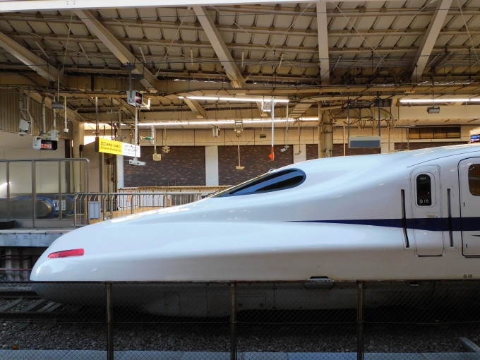 JR東海 N700系新幹線電車 鉄道フォト・写真 by Ome  Rapidさん 東京駅 (JR)：2022年02月25日16時ごろ