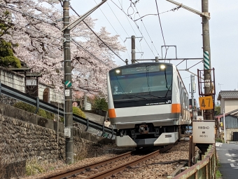 JR東日本E233系電車 鉄道フォト・写真 by Ome  Rapidさん 青梅駅：2022年04月02日12時ごろ