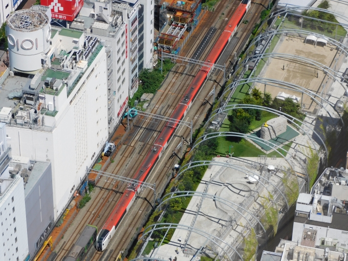 JR東日本E259系電車 鉄道フォト・写真 by Ome  Rapidさん 渋谷駅 (JR)：2022年08月19日10時ごろ