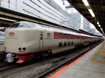 JR東海 285系電車 鉄道フォト・写真 by Ome  Rapidさん 横浜駅 (JR)：2019年07月20日06時ごろ
