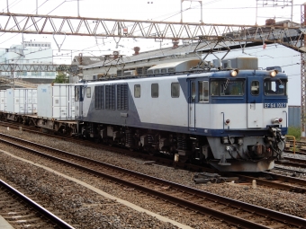 JR貨物 国鉄EF64形電気機関車 鉄道フォト・写真 by Ome  Rapidさん 馬橋駅 (JR)：2019年09月07日15時ごろ