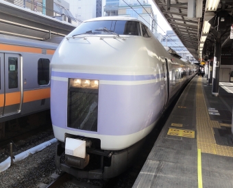 JR東日本E351系電車 鉄道フォト・写真 by Ome  Rapidさん 新宿駅 (JR)：2016年04月30日07時ごろ
