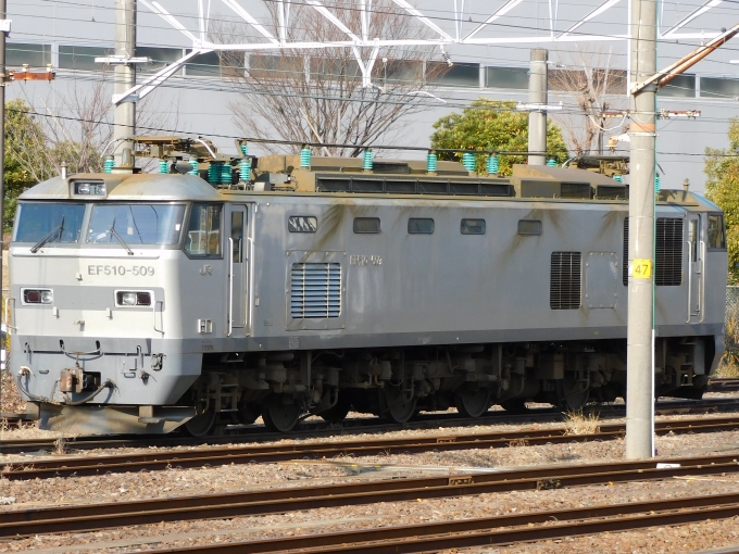 JR貨物 EF510形電気機関車 鉄道フォト・写真 by Ome  Rapidさん 大府駅：2022年12月29日10時ごろ