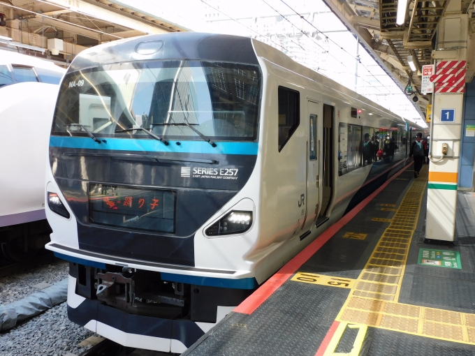 JR東日本E257系電車 鉄道フォト・写真 by Ome  Rapidさん 東京駅 (JR)：2023年03月11日09時ごろ
