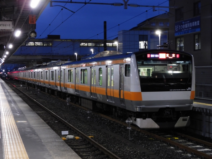 JR東日本E233系電車 鉄道フォト・写真 by Ome  Rapidさん 河辺駅：2023年05月13日19時ごろ