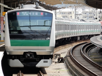 JR東日本E233系電車 鉄道フォト・写真 by Ome  Rapidさん 武蔵浦和駅：2019年04月29日12時ごろ