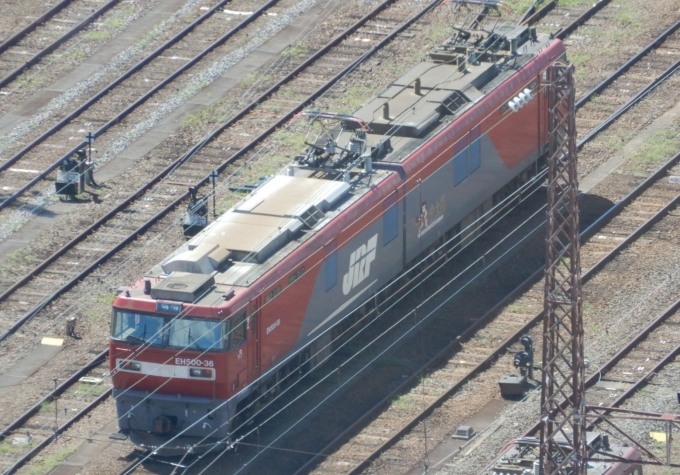 鉄道フォト・写真：JR貨物EH500形電気機関車 郡山駅 (福島県) 鉄道フォト・写真 by Ome  Rapidさん - 撮影日 2018/08/17 10:07