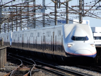 JR東日本 E4系新幹線電車 鉄道フォト・写真 by Ome  Rapidさん 熊谷駅 (JR)：2020年02月23日13時ごろ
