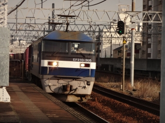 JR貨物 EF210形 EF210-305 鉄道フォト・写真 by 明石の鉃っちゃんさん 明石駅：2017年12月07日15時ごろ