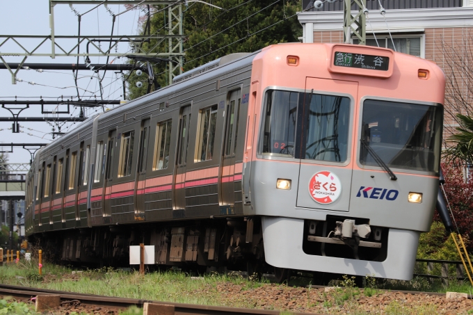 鉄道フォト・写真：京王電鉄 京王1000系電車(2代) 1753 高井戸駅 鉄道フォト・写真 by masakiさん - 撮影日 2022/04/09 10:43