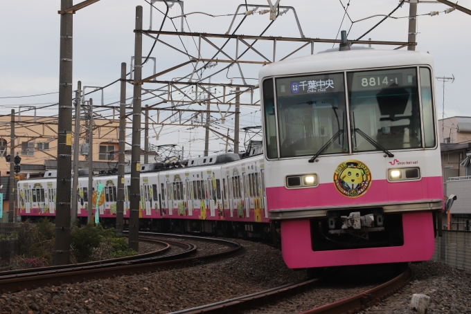 新京成電鉄 新京成クハ8800形 8814-1 鉄道フォト・写真 by masakiさん 元山駅 (千葉県)：2022年11月12日07時ごろ