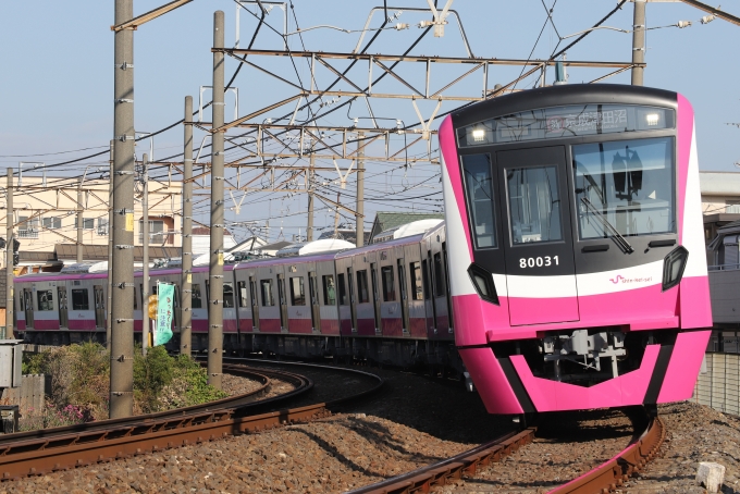 鉄道フォト・写真：新京成電鉄 新京成80000形電車  80031 元山駅 (千葉県) 鉄道フォト・写真 by masakiさん - 撮影日 2022/11/12 09:04