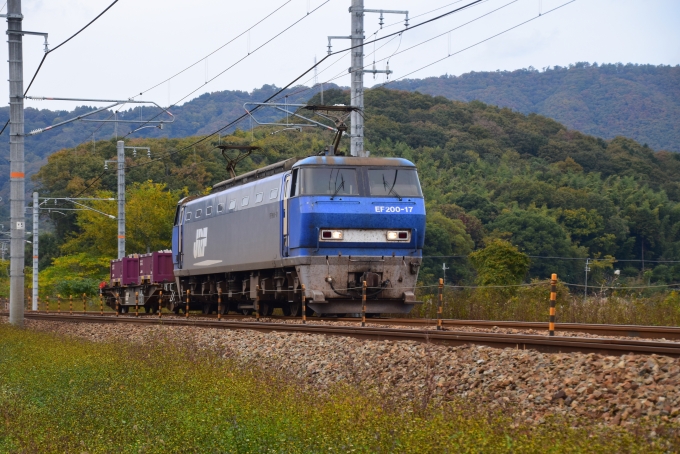 鉄道フォト・写真：JR貨物EF200形電気機関車 EF200-17 上郡駅 (JR) 鉄道フォト・写真 by OtakuOyajiさん - 撮影日 2018/11/16 13:50