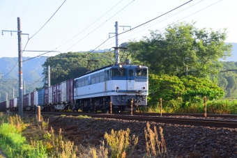 JR貨物 EF65 EF65-2093 鉄道フォト・写真 by OtakuOyajiさん 上郡駅 (JR)：2018年06月03日06時ごろ