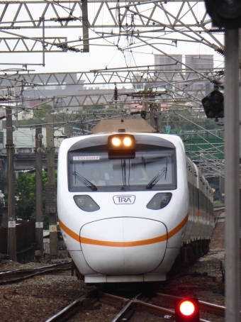 台湾鉄路管理局 TEMU1000型 太魯閣号 TED1007 鉄道フォト・写真 by walker2000さん ：2018年12月30日10時ごろ