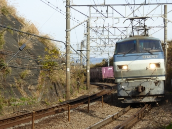 JR貨物 EF66-109 鉄道フォト・写真 by walker2000さん 根府川駅：2019年12月15日10時ごろ