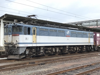 JR貨物 国鉄EF65形電気機関車 EF65 2081 鉄道フォト・写真 by shikoku_masaさん 多度津駅：2018年07月04日08時ごろ