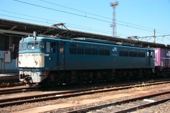 JR貨物 国鉄EF65形電気機関車 EF65 116 鉄道フォト・写真 by shikoku_masaさん 多度津駅：2010年09月09日14時ごろ