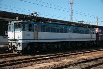 JR貨物 国鉄EF65形電気機関車 EF65 1095 鉄道フォト・写真 by shikoku_masaさん 多度津駅：2011年11月26日14時ごろ