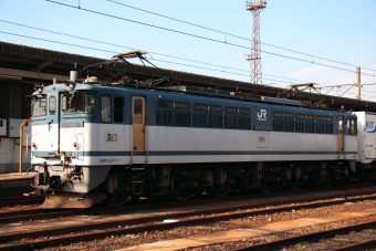 JR貨物 国鉄EF65形電気機関車 EF65 2036 鉄道フォト・写真 by shikoku_masaさん 多度津駅：2012年11月09日14時ごろ