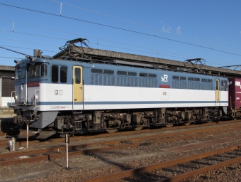 JR貨物 国鉄EF65形電気機関車 EF65 2068 鉄道フォト・写真 by shikoku_masaさん 多度津駅：2015年10月25日08時ごろ