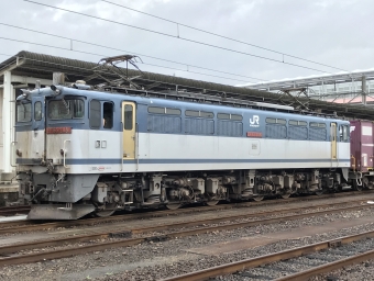 JR貨物 国鉄EF65形電気機関車 EF65 2081 鉄道フォト・写真 by shikoku_masaさん 多度津駅：2018年07月04日08時ごろ