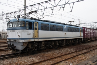 JR貨物 国鉄EF65形電気機関車 EF65 128 鉄道フォト・写真 by shikoku_masaさん 多度津駅：2005年06月01日14時ごろ