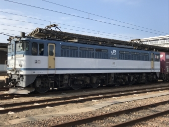 JR貨物 国鉄EF65形電気機関車 EF65 2050 鉄道フォト・写真 by shikoku_masaさん 多度津駅：2019年10月14日14時ごろ