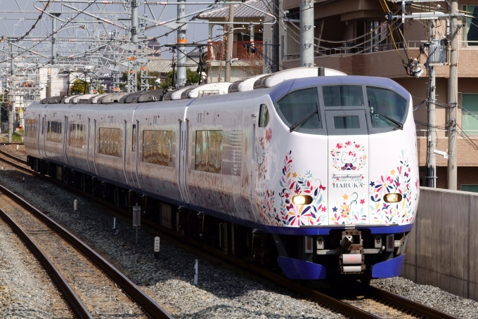 鉄道フォト・写真：ＪＲ西日本 JR西日本281系電車 ＪＲ総持寺駅 鉄道フォト・写真 by kaz787さん - 撮影日 2019/02/16 13:18