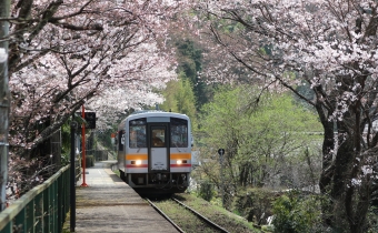 JR西日本 キハ121353 鉄道フォト・写真 by hd乗りさん ：2019年04月06日11時ごろ
