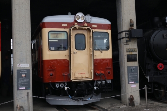 JR西日本 キハ25115 鉄道フォト・写真 by hd乗りさん ：2019年04月13日15時ごろ