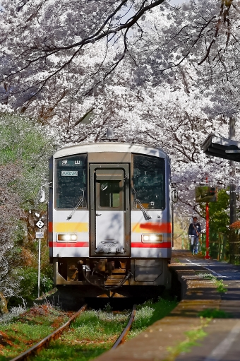 JR西日本 キハ120形 キハ120-353 鉄道フォト・写真 by hd乗りさん ：2023年04月01日09時ごろ