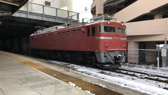 JR東日本 EF81 EF81 97 鉄道フォト・写真 by Series_SAT721さん 仙台駅 (JR)：2018年12月09日09時ごろ