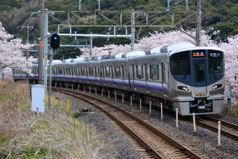 JR西日本 普通 鉄道フォト・写真 by Cherry blossomsさん ：2022年04月02日09時ごろ