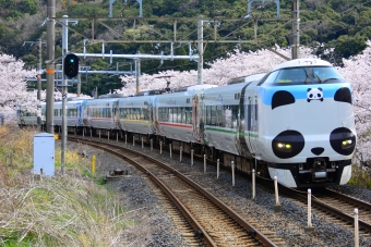 JR西日本 くろしお（南紀地区）(特急) 鉄道フォト・写真 by Cherry blossomsさん ：2022年04月02日09時ごろ