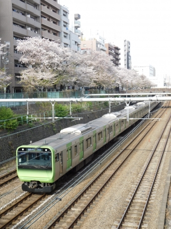 JR東日本 鉄道フォト・写真 by おにたんさん 巣鴨駅 (JR)：2021年03月31日15時ごろ