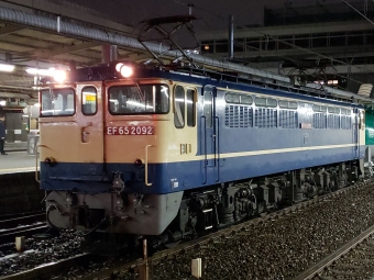 JR貨物 EF65形電気機関車 EF65 2092 鉄道フォト・写真 by E233系上野東京ラインさん 大宮駅 (埼玉県|JR)：2019年01月31日19時ごろ