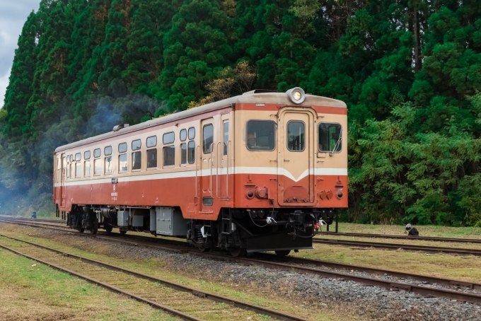 AL完売しました。 トミックス N 8611 南部縦貫鉄道 キハ10形 キハ104