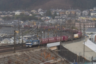 JR貨物 EF210形 EF210-141 鉄道フォト・写真 by shingenさん 山科駅 (JR)：2015年03月01日12時ごろ