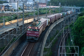 JR貨物 国鉄EF81形電気機関車 EF81 721 鉄道フォト・写真 by shingenさん 山科駅 (JR)：2012年08月21日06時ごろ