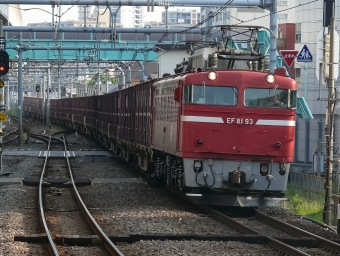 JR東日本 国鉄EF81形電気機関車 EF81 83 鉄道フォト・写真 by shingenさん 北千住駅 (JR)：2010年06月17日17時ごろ