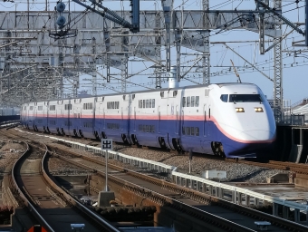 JR東日本 E153形(T1c) E153-102 鉄道フォト・写真 by shingenさん 大宮駅 (埼玉県|JR)：2008年10月02日14時ごろ