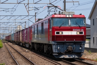 JR貨物 EH500形 EH500-36 鉄道フォト・写真 by shingenさん 名取駅 (JR)：2019年05月11日11時ごろ