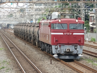 JR東日本 国鉄EF81形電気機関車 EF81 81 鉄道フォト・写真 by shingenさん 松戸駅 (JR)：2010年06月26日15時ごろ